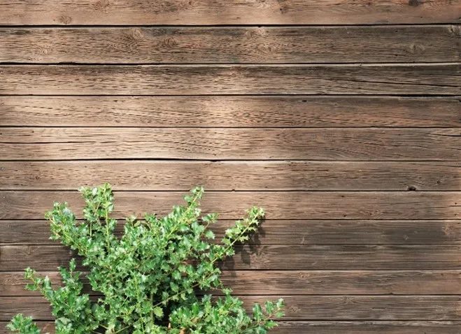 🌳🛠️Prenez soin de vos extérieurs avec La Menuiz'74 !